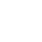 政府信息系統(tǒng)